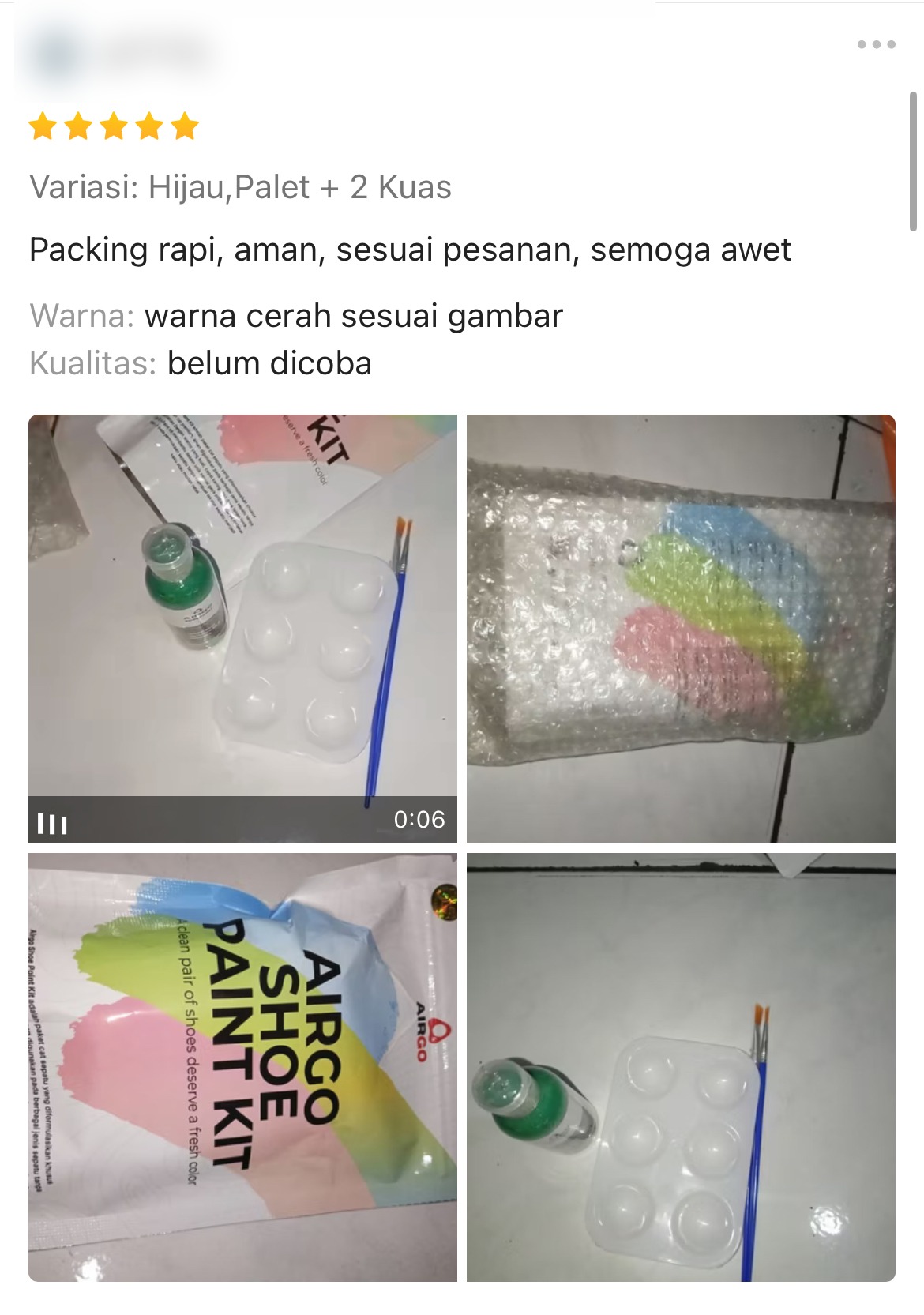 Ulasan pelanggan Airgo — Shoe Paint Kit hijau